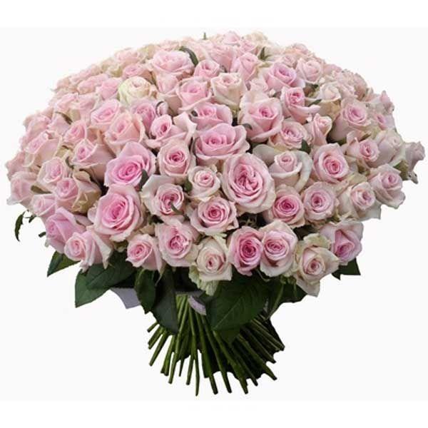 Meadow Bliss Aromatic Blossom Cluster